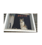 ぷっくんすたんぷ（個別スタンプ：2）