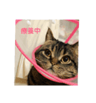ぷっくんすたんぷ（個別スタンプ：16）