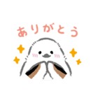 毎日使える"しままる"スタンプ 2（個別スタンプ：3）