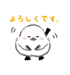 毎日使える"しままる"スタンプ 2（個別スタンプ：4）
