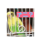 meg222（個別スタンプ：5）