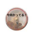 ハムスタ2018-（個別スタンプ：2）