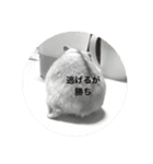 ハムスタ2018-（個別スタンプ：6）