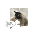 「実写！」うちのあにまるず。（個別スタンプ：36）