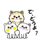 白い犬のスタンプ4（個別スタンプ：3）