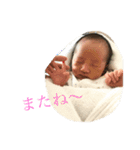 やま平（個別スタンプ：6）