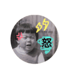 近藤家とゆかいな仲間たち（個別スタンプ：16）