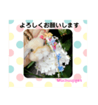 フェルトうさぎの♪うーちゃん（個別スタンプ：5）