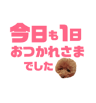トイプーmintoのスタンプ3❤️（個別スタンプ：8）
