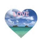 Hawaii  Love 1（個別スタンプ：6）
