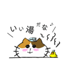 にゃーちゃんふれんず。1（個別スタンプ：11）