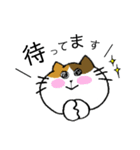 にゃーちゃんふれんず。1（個別スタンプ：19）