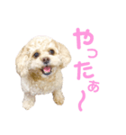 ラフのひとこと（個別スタンプ：1）