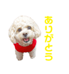 ラフのひとこと（個別スタンプ：2）