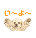 ラフのひとこと（個別スタンプ：4）