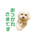 ラフのひとこと（個別スタンプ：5）