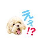 ラフのひとこと（個別スタンプ：7）