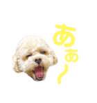 ラフのひとこと（個別スタンプ：8）