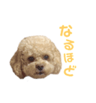 ラフのひとこと（個別スタンプ：9）
