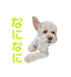 ラフのひとこと（個別スタンプ：10）