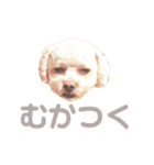 ラフのひとこと（個別スタンプ：12）