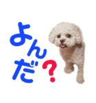 ラフのひとこと（個別スタンプ：14）