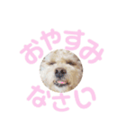 ラフのひとこと（個別スタンプ：16）