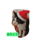12 Colors Chip（個別スタンプ：1）