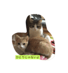 12 Colors Chip（個別スタンプ：3）