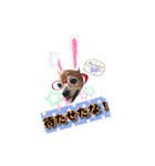 ミニピン チャコ 2（個別スタンプ：1）