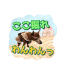 ミニピン チャコ 2（個別スタンプ：4）