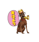 ミニピン チャコ 2（個別スタンプ：8）