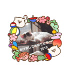 つくしお正月（個別スタンプ：3）