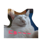 つくしお正月（個別スタンプ：5）
