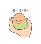 女の子のオウム( 毎日のバージョン)（個別スタンプ：5）