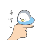 女の子のオウム( 毎日のバージョン)（個別スタンプ：6）