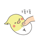 女の子のオウム( 毎日のバージョン)（個別スタンプ：8）