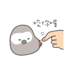 女の子のオウム( 毎日のバージョン)（個別スタンプ：16）