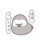 女の子のオウム( 毎日のバージョン)（個別スタンプ：23）