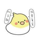 女の子のオウム( 毎日のバージョン)（個別スタンプ：24）