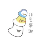 女の子のオウム( 毎日のバージョン)（個別スタンプ：39）