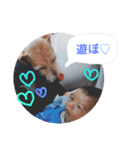 happyharuki（個別スタンプ：10）