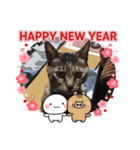 つにゃみちみ（個別スタンプ：2）