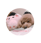 つにゃみちみ（個別スタンプ：6）