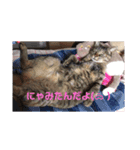 つにゃみちみ（個別スタンプ：8）