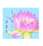 花・動物・風景（個別スタンプ：2）