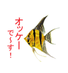 花・動物・風景（個別スタンプ：3）
