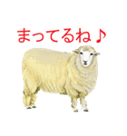 花・動物・風景（個別スタンプ：9）