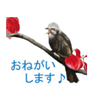 花・動物・風景（個別スタンプ：10）
