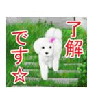 花・動物・風景（個別スタンプ：11）